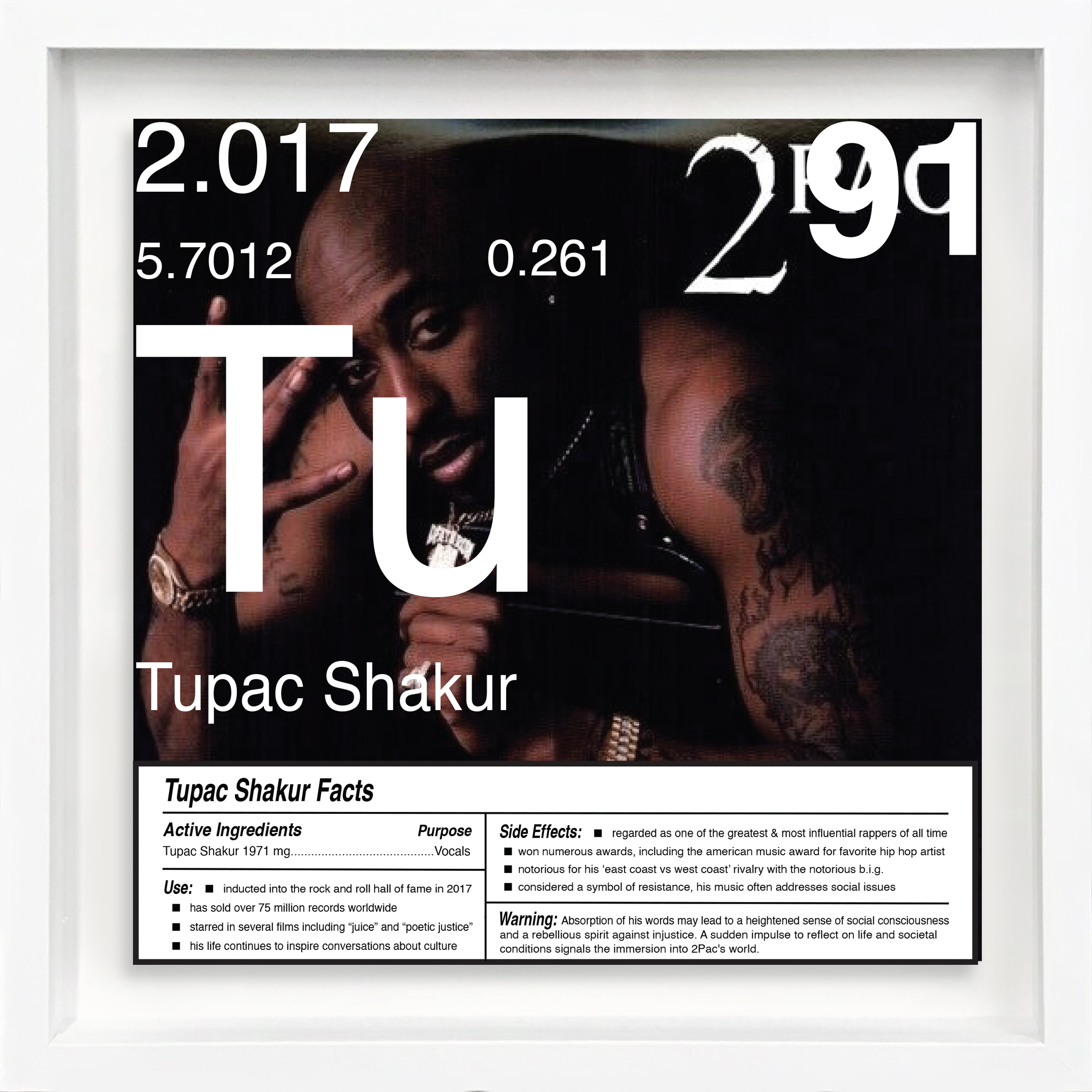 Tupac Shakur artwork